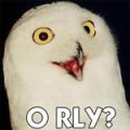 A wide-eyed owl with open beak. Image is captioned "O RLY?"