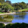 Photograph of Victoria Park pond on a sunny day