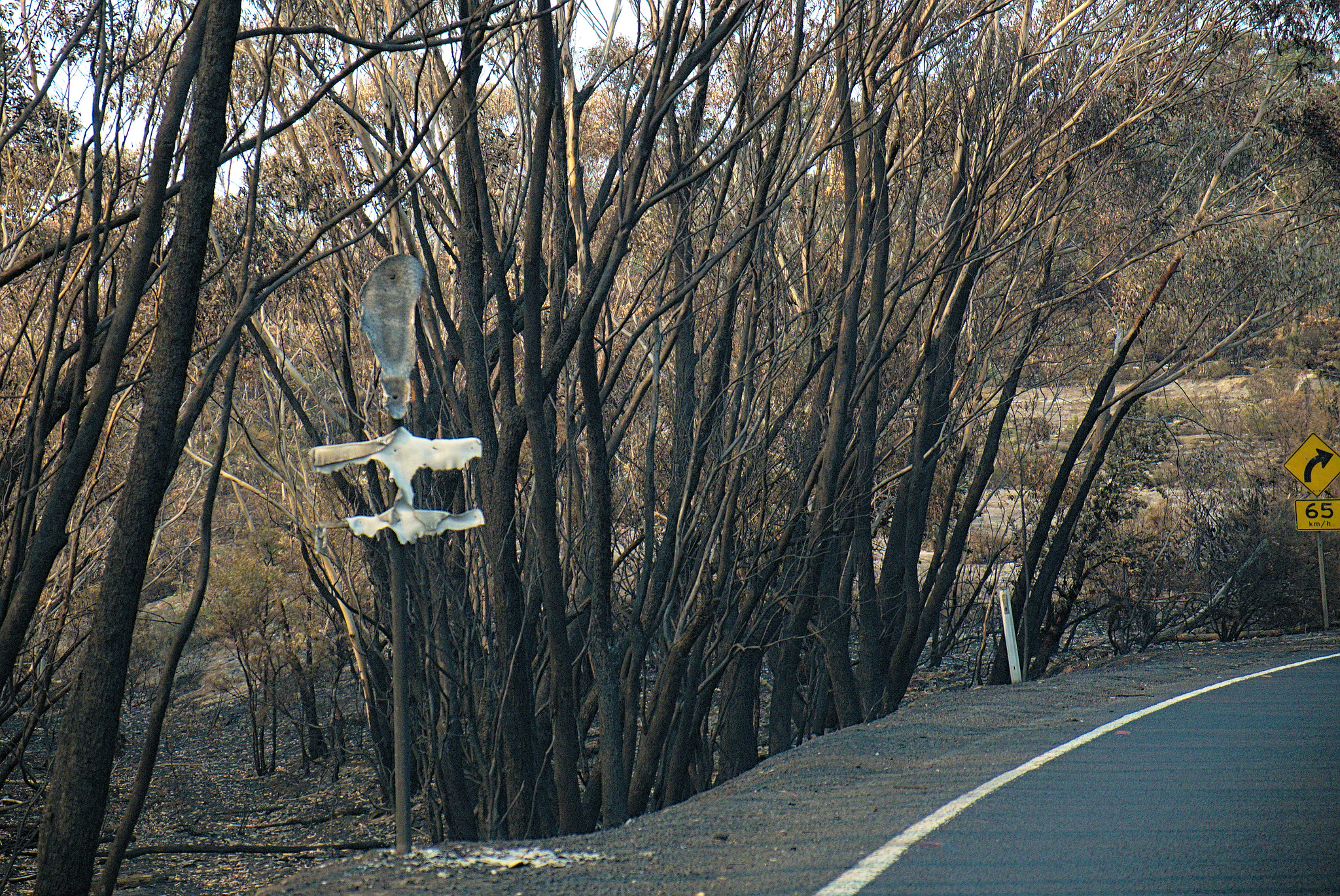 Australia Burns: Bells Line of Road, 28 December 2019